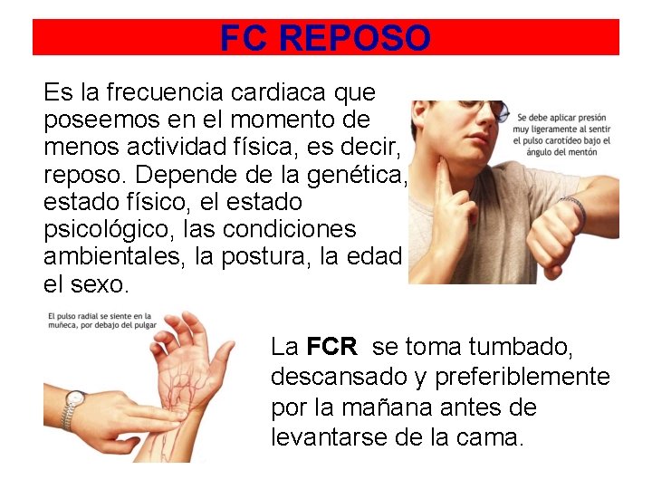 FC REPOSO Es la frecuencia cardiaca que poseemos en el momento de menos actividad