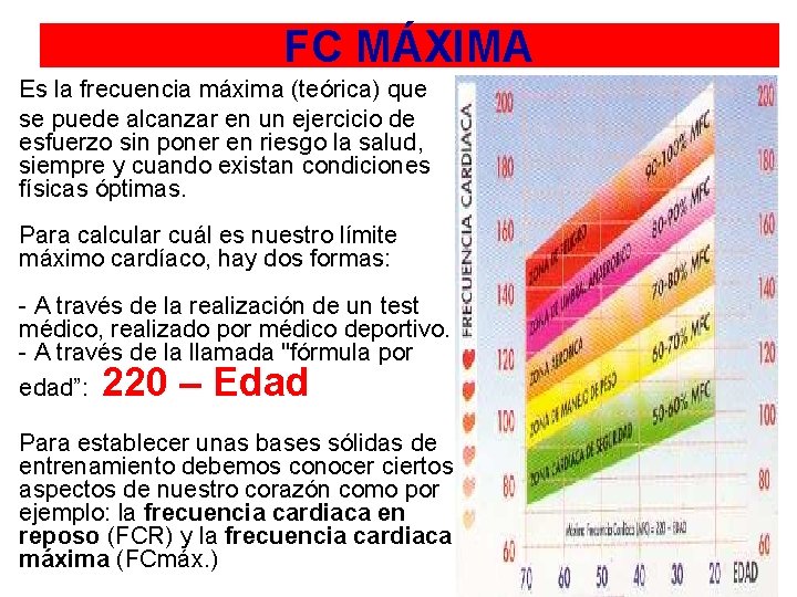 FC MÁXIMA Es la frecuencia máxima (teórica) que se puede alcanzar en un ejercicio