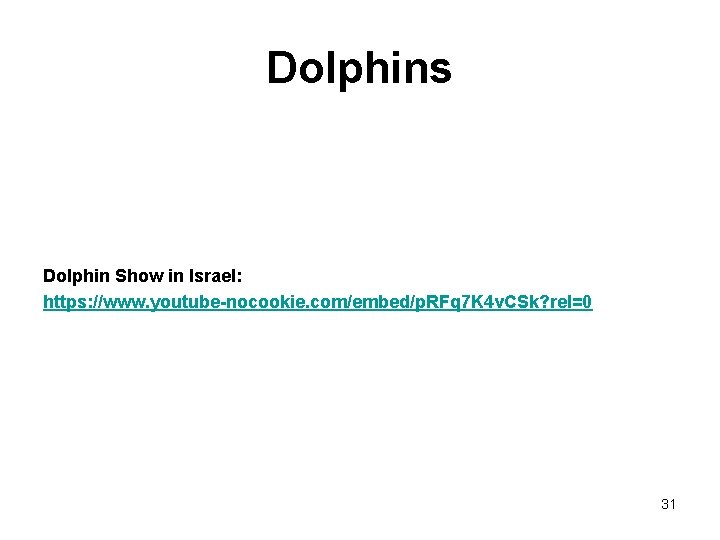 Dolphins Dolphin Show in Israel: https: //www. youtube-nocookie. com/embed/p. RFq 7 K 4 v.