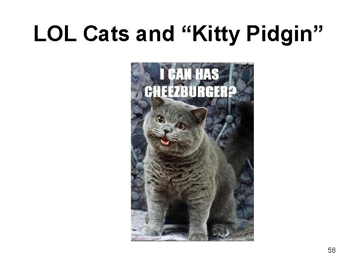 LOL Cats and “Kitty Pidgin” 58 