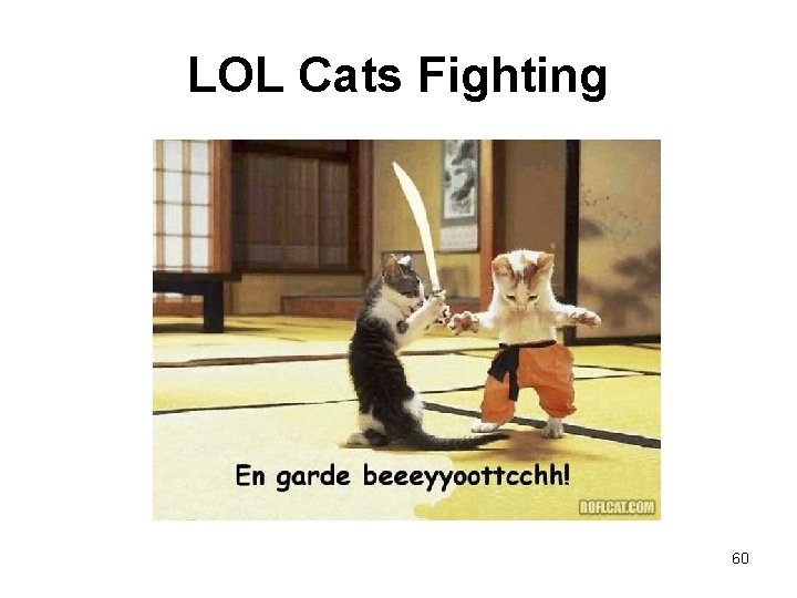 LOL Cats Fighting 60 