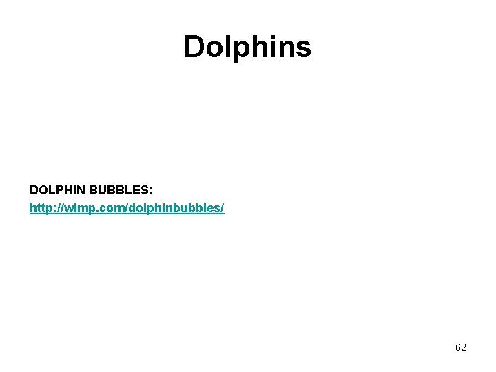 Dolphins DOLPHIN BUBBLES: http: //wimp. com/dolphinbubbles/ 62 