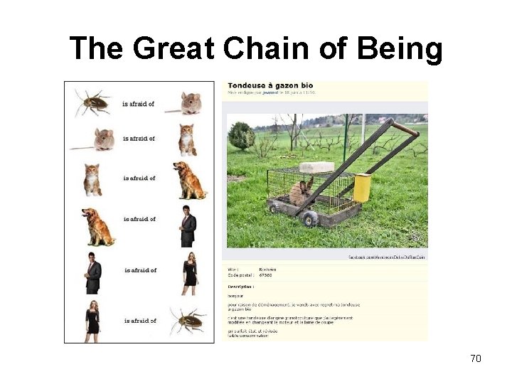 The Great Chain of Being 70 