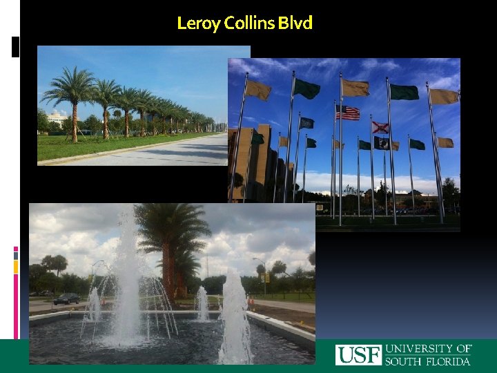 Leroy Collins Blvd 