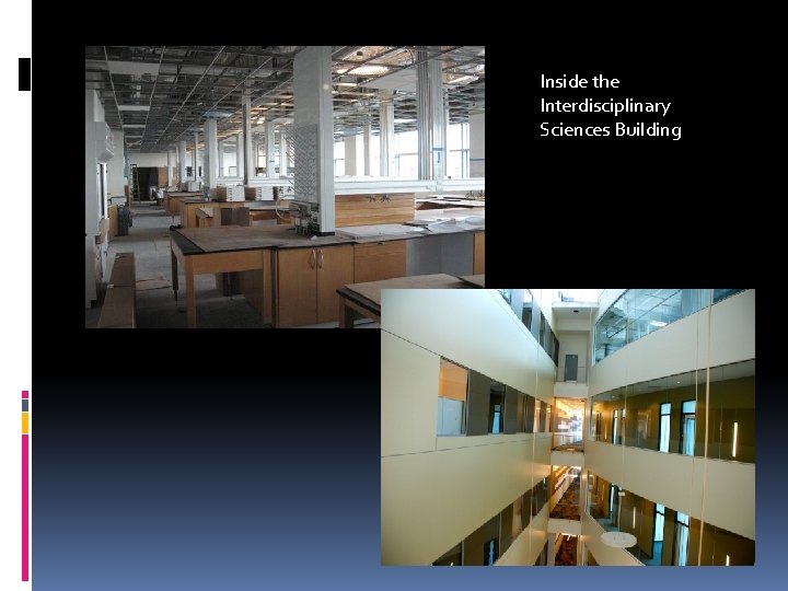 Inside the Interdisciplinary Sciences Building 