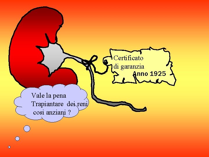 Certificato di garanzia Anno 1925 Vale la pena Trapiantare dei reni cosi anziani ?