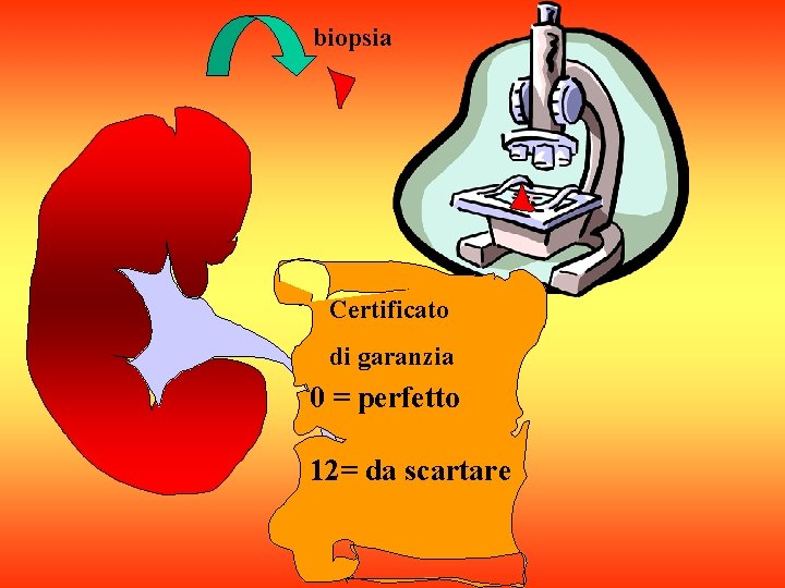 biopsia Certificato di garanzia 0 = perfetto 12= da scartare 