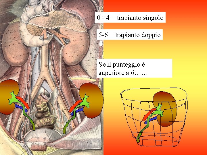 0 - 4 = trapianto singolo 5 -6 = trapianto doppio Se il punteggio