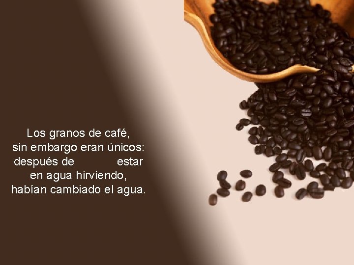 Los granos de café, sin embargo eran únicos: después de estar en agua hirviendo,