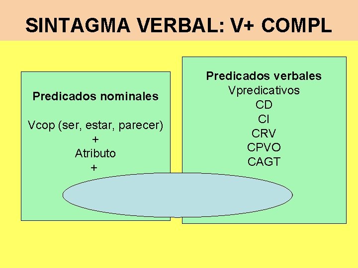 SINTAGMA VERBAL: V+ COMPL Predicados nominales Vcop (ser, estar, parecer) + Atributo + CC