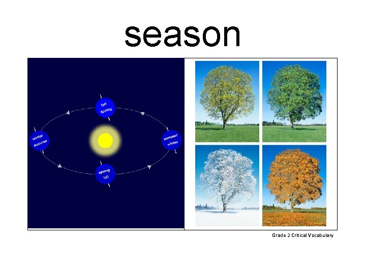 season Grade 2 Critical Vocabulary 