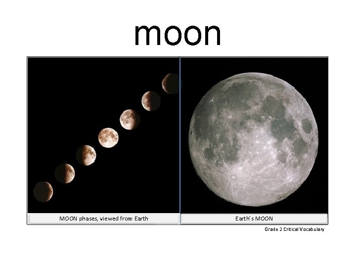 moon MOON phases, viewed from Earth’s MOON Grade 2 Critical Vocabulary 