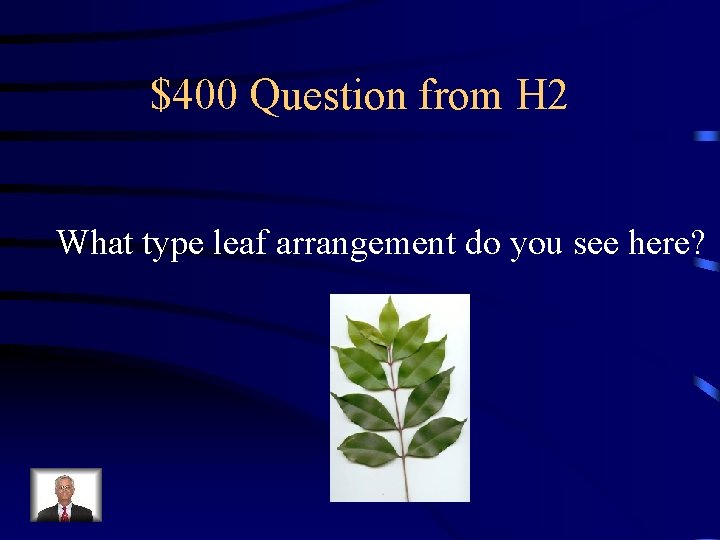 $400 Question from H 2 What type leaf arrangement do you see here? 