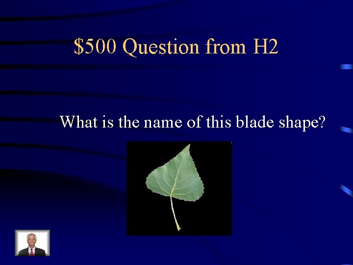 $500 Question from H 2 What is the name of this blade shape? 