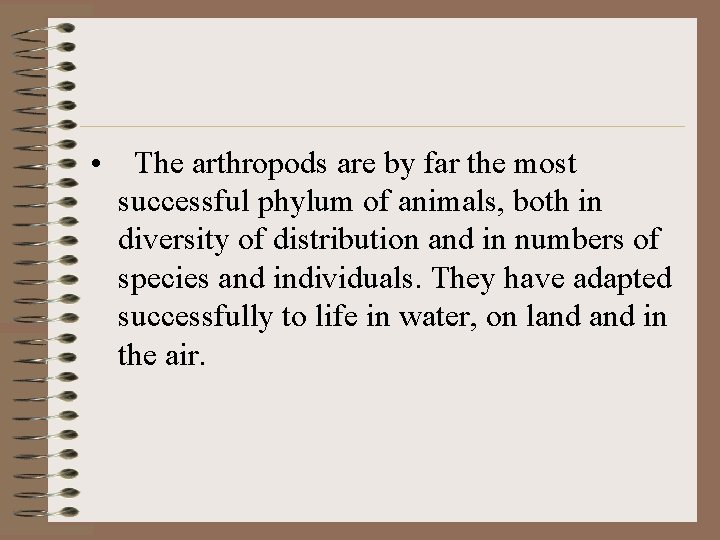  • The arthropods are by far the most successful phylum of animals, both