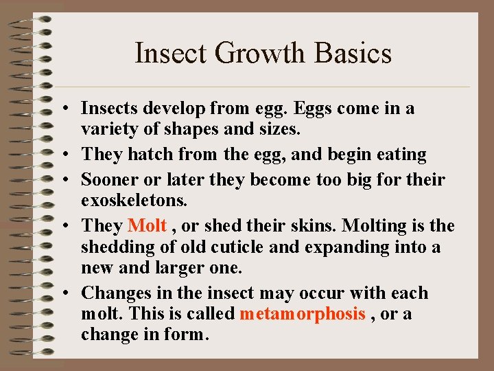 Insect Growth Basics • Insects develop from egg. Eggs come in a variety of