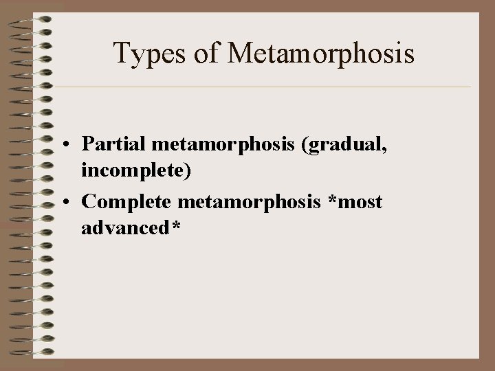 Types of Metamorphosis • Partial metamorphosis (gradual, incomplete) • Complete metamorphosis *most advanced* 