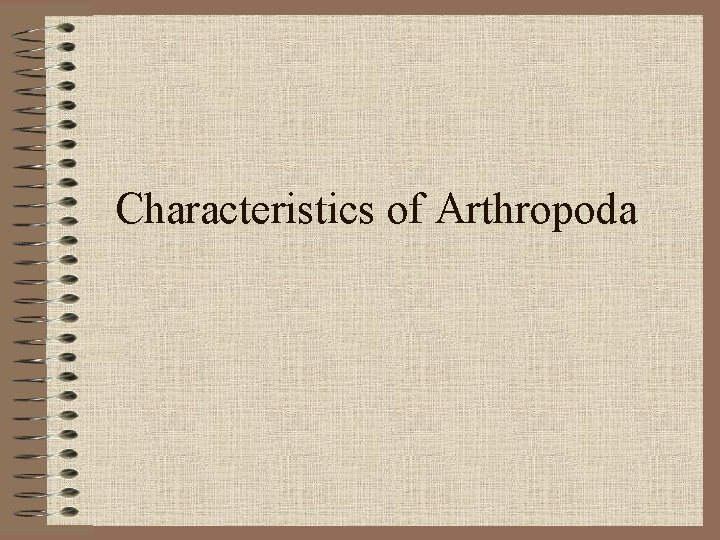 Characteristics of Arthropoda 