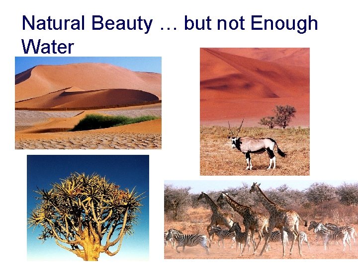 Natural Beauty … but not Enough Water 