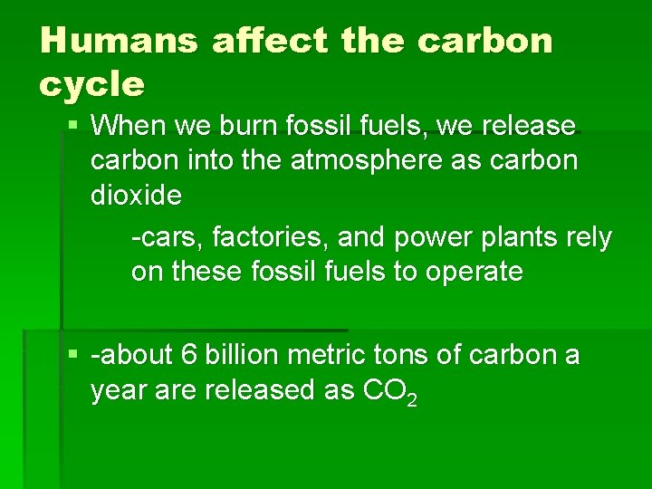 Humans affect the carbon cycle § When we burn fossil fuels, we release carbon