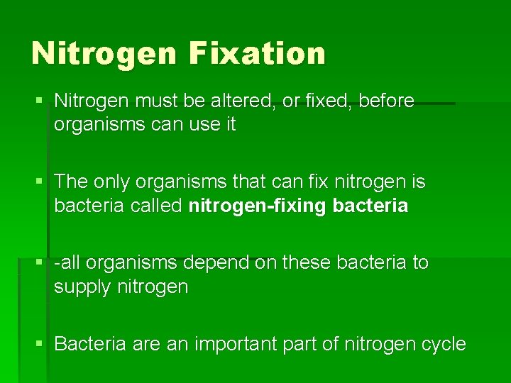 Nitrogen Fixation § Nitrogen must be altered, or fixed, before organisms can use it