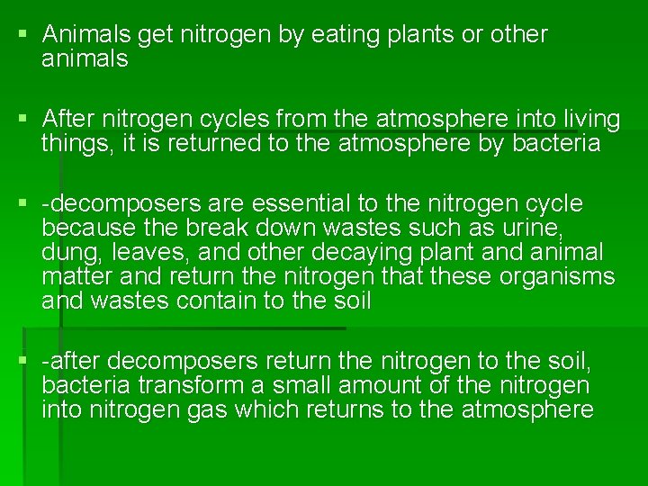 § Animals get nitrogen by eating plants or other animals § After nitrogen cycles