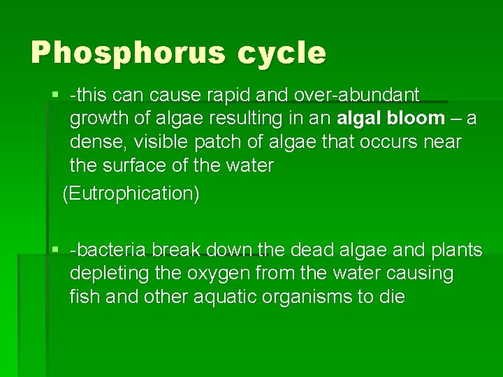 Phosphorus cycle § -this can cause rapid and over-abundant growth of algae resulting in
