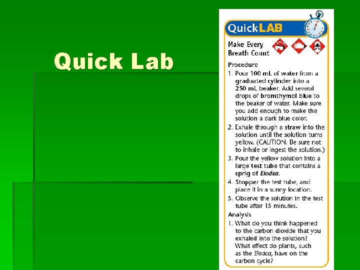 Quick Lab 