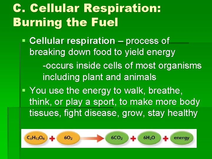 C. Cellular Respiration: Burning the Fuel § Cellular respiration – process of breaking down
