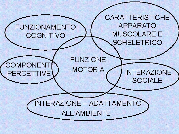 FUNZIONAMENTO COGNITIVO COMPONENTI PERCETTIVE CARATTERISTICHE APPARATO MUSCOLARE E SCHELETRICO FUNZIONE MOTORIA INTERAZIONE SOCIALE INTERAZIONE