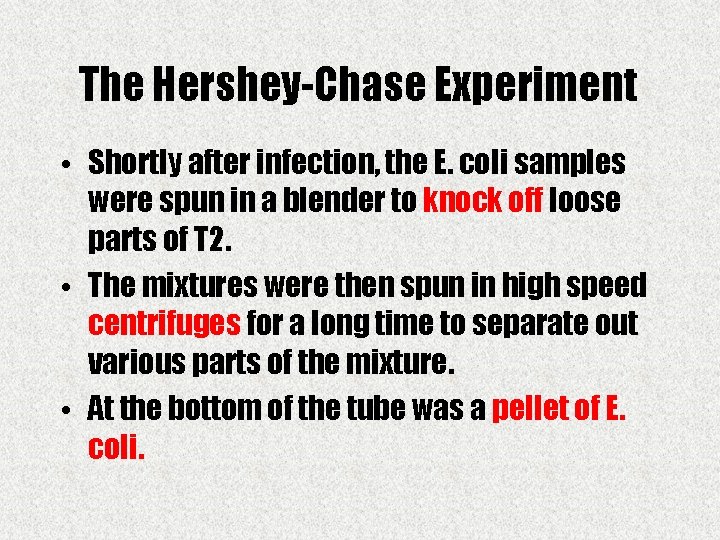 The Hershey-Chase Experiment • Shortly after infection, the E. coli samples were spun in