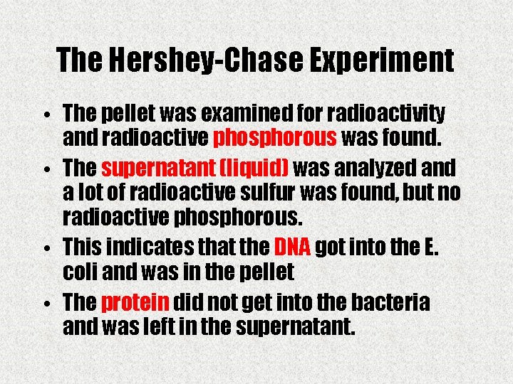 The Hershey-Chase Experiment • The pellet was examined for radioactivity and radioactive phosphorous was