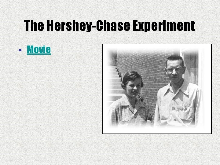 The Hershey-Chase Experiment • Movie 