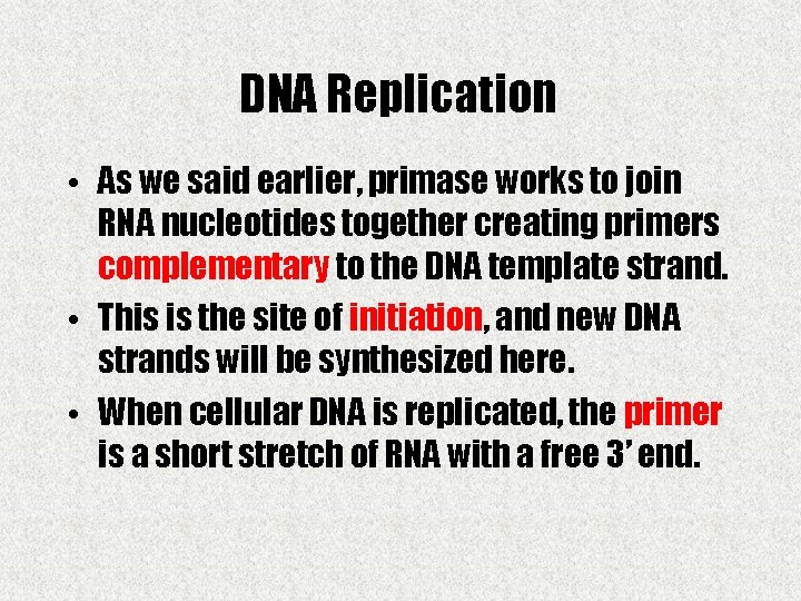 DNA Replication • As we said earlier, primase works to join RNA nucleotides together
