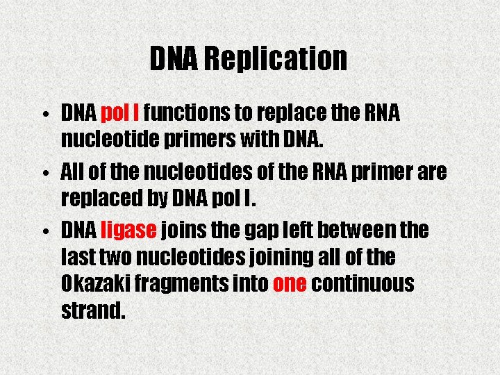 DNA Replication • DNA pol I functions to replace the RNA nucleotide primers with