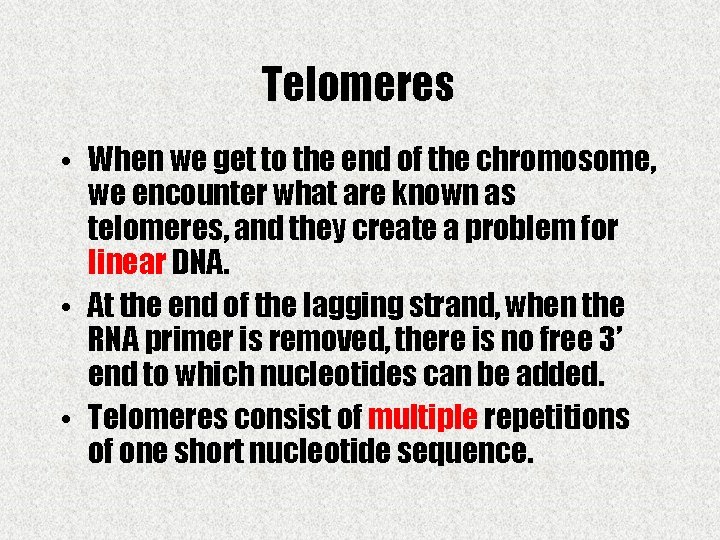 Telomeres • When we get to the end of the chromosome, we encounter what