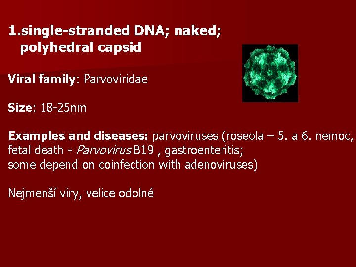 1. single-stranded DNA; naked; polyhedral capsid Viral family: Parvoviridae Size: 18 -25 nm Examples