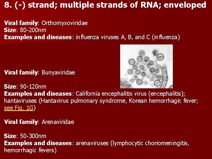 8. (-) strand; multiple strands of RNA; enveloped Viral family: Orthomyxoviridae Size: 80 -200