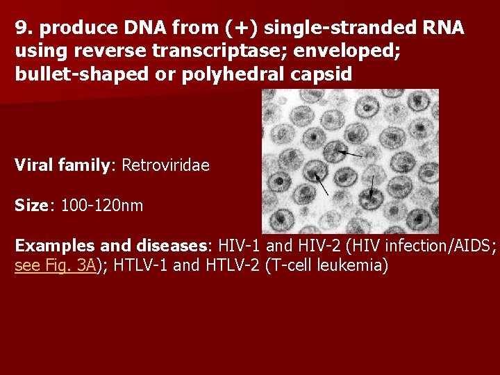 9. produce DNA from (+) single-stranded RNA using reverse transcriptase; enveloped; bullet-shaped or polyhedral