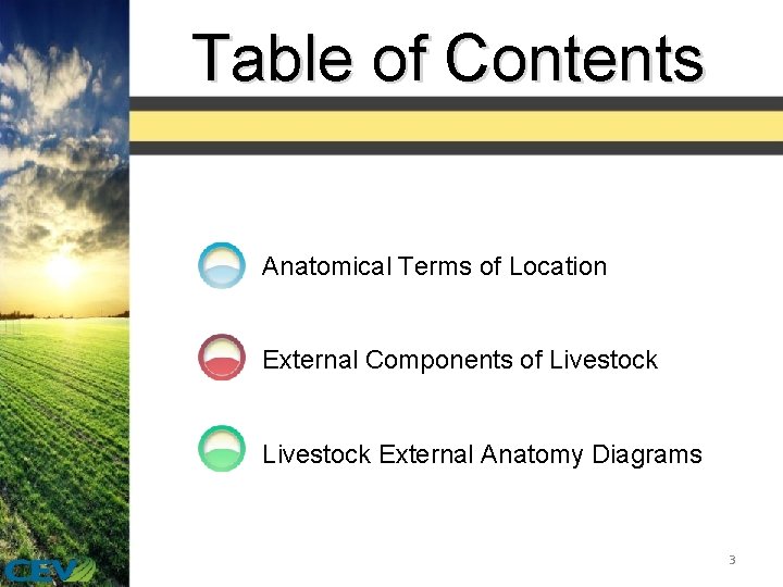 Table of Contents Anatomical Terms of Location External Components of Livestock External Anatomy Diagrams