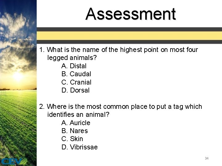 Assessment 1. What is the name of the highest point on most four legged