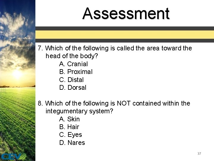 Assessment 7. Which of the following is called the area toward the head of