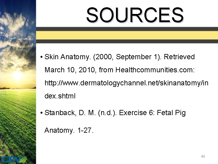 SOURCES • Skin Anatomy. (2000, September 1). Retrieved March 10, 2010, from Healthcommunities. com: