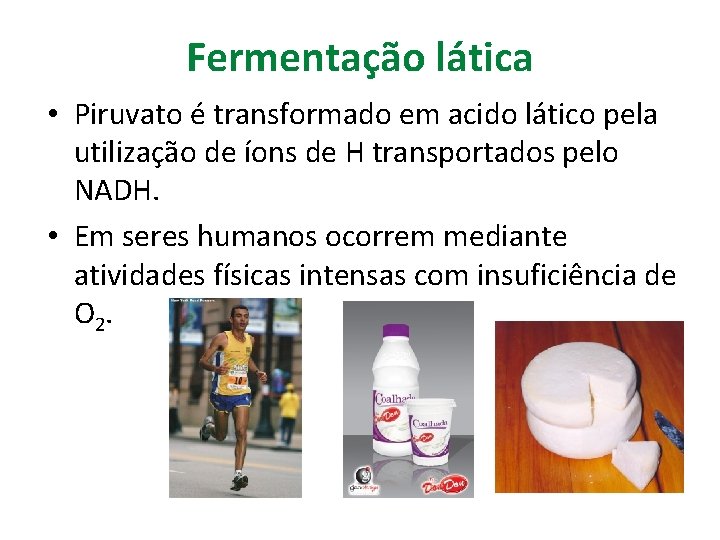 Fermentação lática • Piruvato é transformado em acido lático pela utilização de íons de