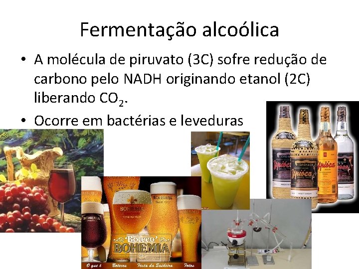 Fermentação alcoólica • A molécula de piruvato (3 C) sofre redução de carbono pelo