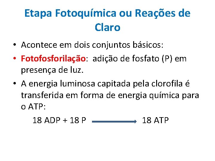 Etapa Fotoquímica ou Reações de Claro • Acontece em dois conjuntos básicos: • Fotofosforilação: