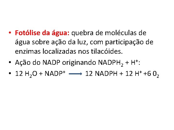  • Fotólise da água: quebra de moléculas de água sobre ação da luz,