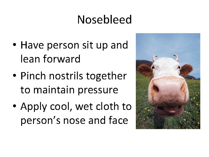 Nosebleed • Have person sit up and lean forward • Pinch nostrils together to