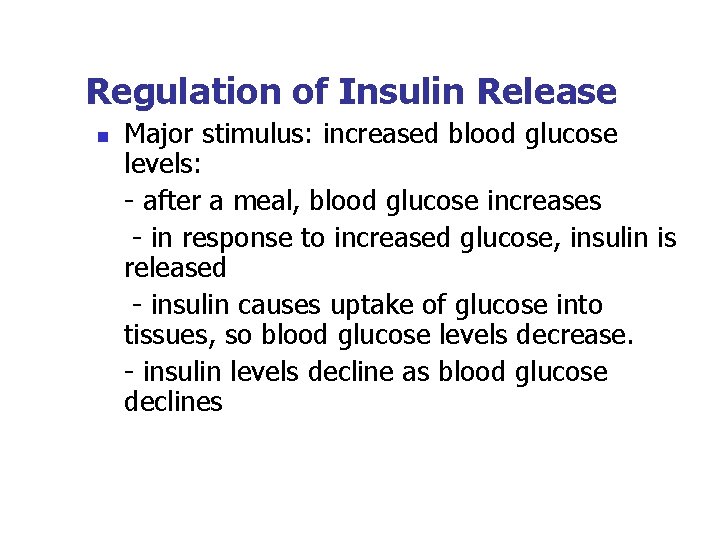 Regulation of Insulin Release n Major stimulus: increased blood glucose levels: - after a