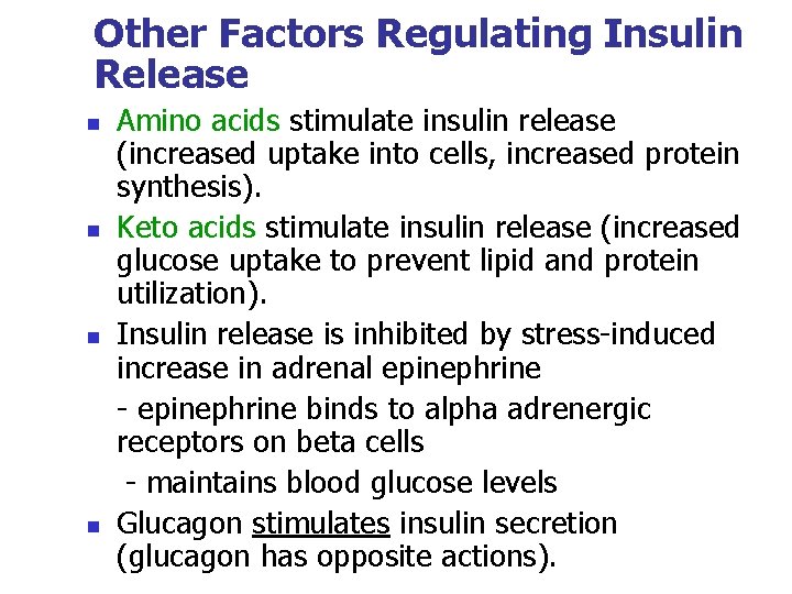 Other Factors Regulating Insulin Release n n Amino acids stimulate insulin release (increased uptake